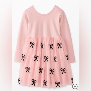 Hanna Anderson Long Sleeve Tulle Embroidered Skater Dress 5T